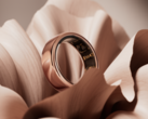 La bague Oura 4 peut-elle battre la bague Samsung Galaxy en termes de design et de paiement sans contact ? (Source de l'image : Oura)