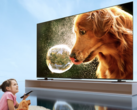 Le mini téléviseur LED 4K Toshiba Z700NF a été lancé en Chine. (Source de l'image : Toshiba)
